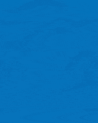 Z S C GIF by ZSC Esports