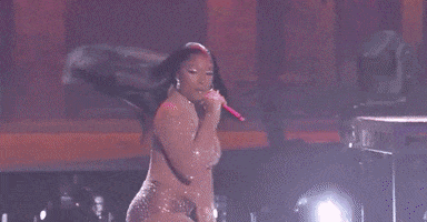Body Megan Thee Stallion GIF by New Year's Rockin' Eve