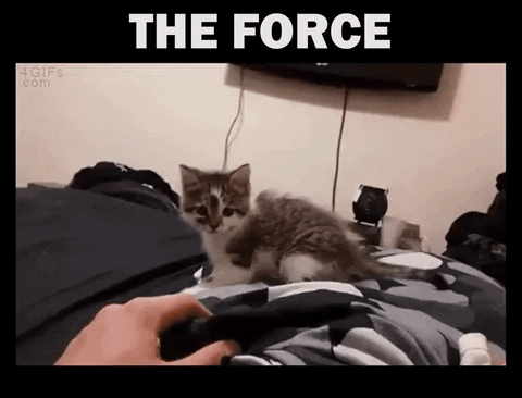 force GIF