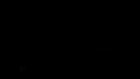 renzosalazarr giphygifmaker GIF