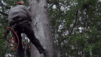josh gates travel GIF