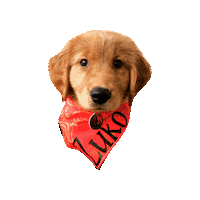 Golden Retriever Puppy Sticker by Geekster Pets