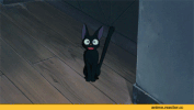 kikis delivery service cat GIF