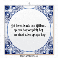 Humor Chaos GIF by Tegelspreuken.nl