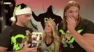 triple h wrestling GIF by WWE