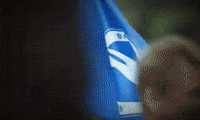 Football Brighton GIF