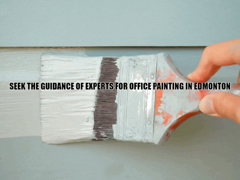 albertapaintingltd giphygifmaker exterior painting in edmonton interior painting in edmonton office painting in edmonton GIF