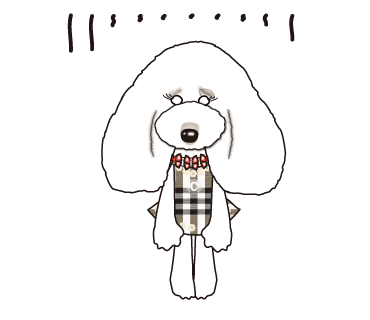 シャシュシュ Sticker