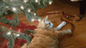 GIF by Demic