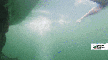 swim dive GIF by SWR Kindernetz