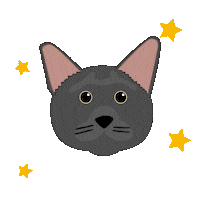 Russian Blue Cat Sticker
