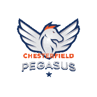 Pegasus F45Training Sticker by F45 Training Chesterfield