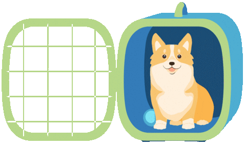 Travel Pet Sticker by Alaska Airlines