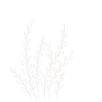 Flowers Цветы Sticker