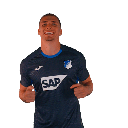 Grischa Prömel Sport Sticker by TSG Hoffenheim