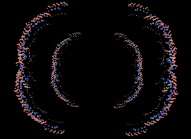 animation spinning GIF