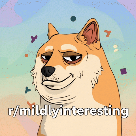 Judging Shiba Inu GIF by Doge Pound