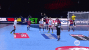 goal poland GIF by EHF