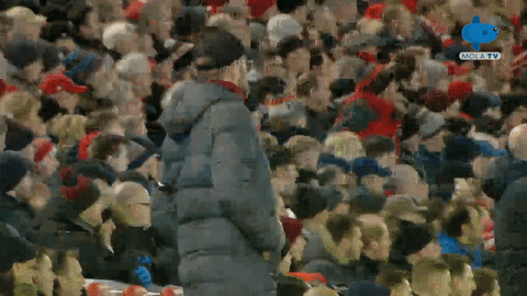 Celebration Reaction GIF by MolaTV