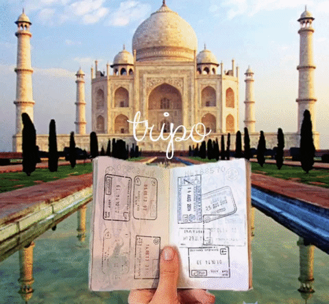 Travel India GIF by tripo