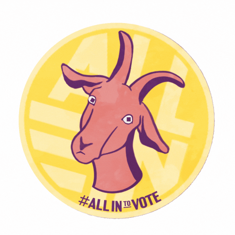 allintovote giphyupload GIF