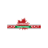 Niagarafalls Cliftonhill Sticker by Clifton Hill Fun, Niagara Falls