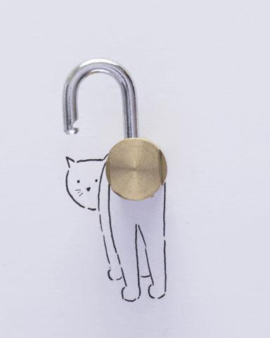 Stop Motion Cat GIF by cintascotch