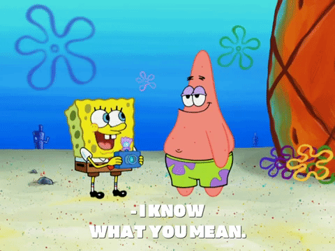 season 8 spongebob's runaway roadtrip: a squarepants family vacation GIF by SpongeBob SquarePants