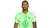 Three Points Win Sticker by VfL Wolfsburg
