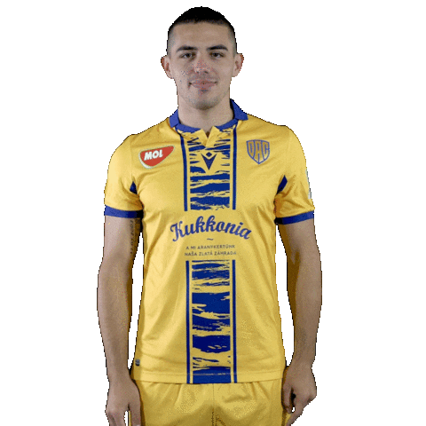 Dac 1904 Football Sticker by Fortuna Liga