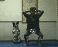 life dogs GIF