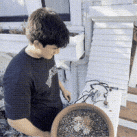 Ms21 GIF