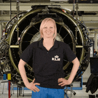 Royal Dutch Airlines Good Job GIF by KLM