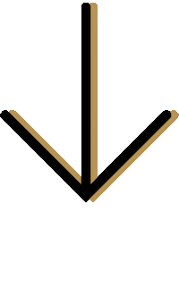 meetpablo_de art artist arrow down Sticker