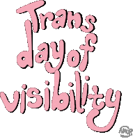 Proud Transgender Day Of Visibility Sticker by Amor Design Studio