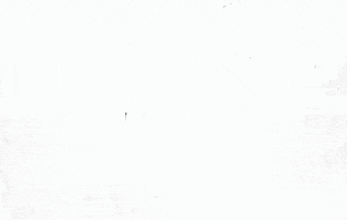 art GIF by Eno Swinnen