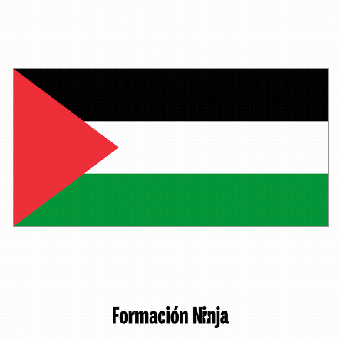 Flag Bandera GIF by Formación Ninja