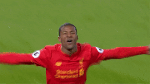 premier league football GIF by Liverpool FC