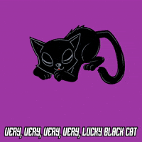 Black Cat GIF by VeeFriends