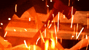 Has Been Burn GIF by Four Rest Films