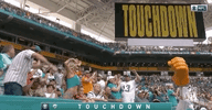 2018 Nfl Football GIF by NFL