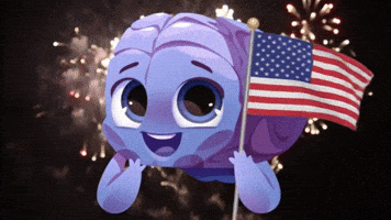 Independence Day Usa GIF by Raena AI