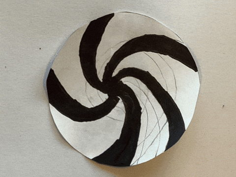GIF by Kunstkwartier