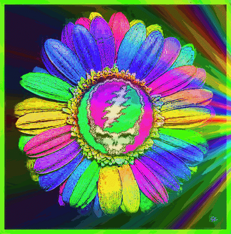 GIF by Steve Konklin