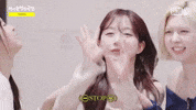 Stop GIF
