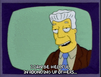 Season 5 GIF by The Simpsons