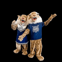 DallastownAreaSchoolDistrict dasd wildcat dtown wildcatnation GIF