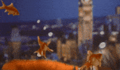 At Work GIF by StittsvilleOnPatrol