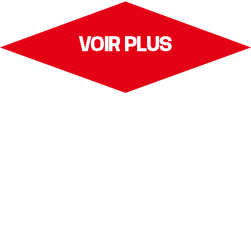 rouge losangerouge Sticker by Liberation.fr