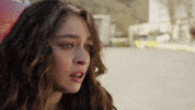 Leyla GIF by Ay Yapım